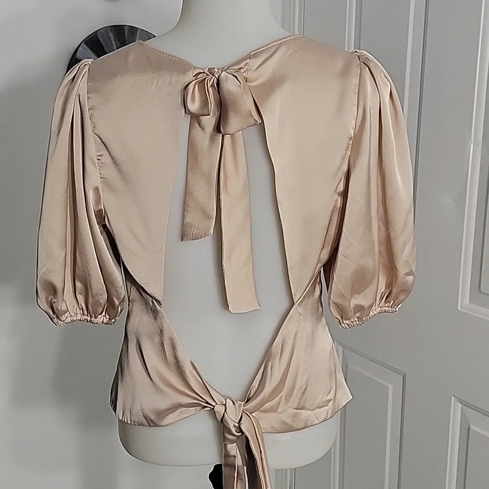Abercrombie & Fitch Deep V Ruched Puff Sleeve  Button Front Blouse M